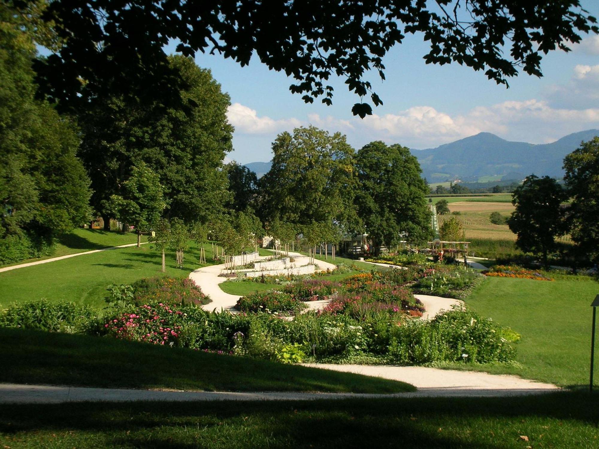 Hotel Hallerhof Bad Hall Buitenkant foto