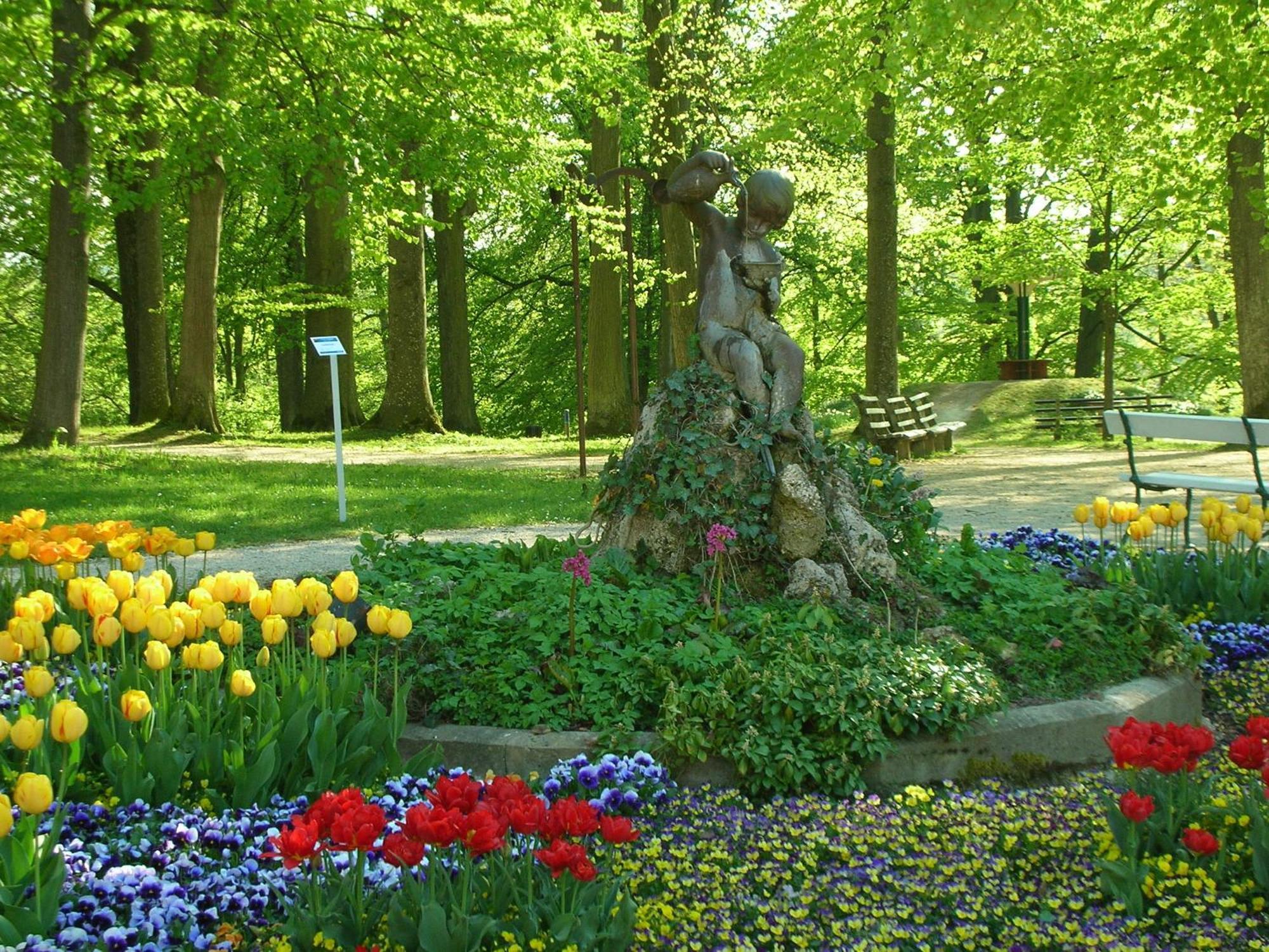 Hotel Hallerhof Bad Hall Buitenkant foto